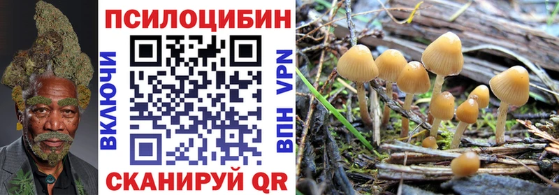 Галлюциногенные грибы Psilocybine cubensis  darknet наркотические препараты  Малгобек  цена   MEGA ссылка 