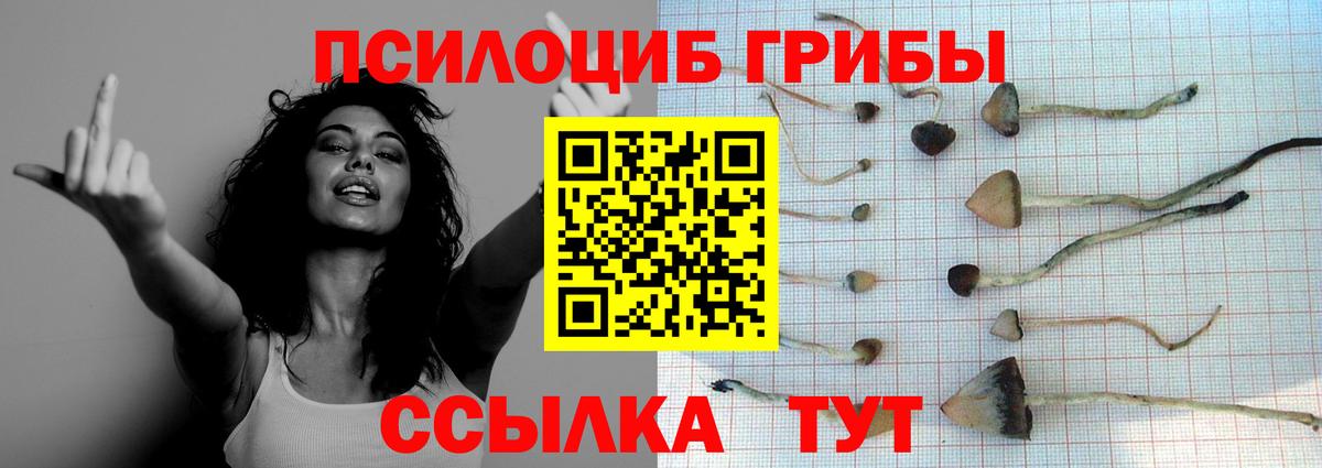 Галлюциногенные грибы Magic Shrooms Малгобек